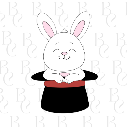 Rabbit In Hat